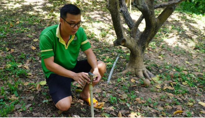 Áp dụng công nghệ canh tác cây ăn quả: Vừa nhàn, vừa tiết kiệm