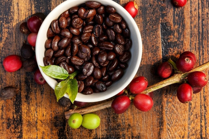 Giá cà phê hôm nay 15/1/2026