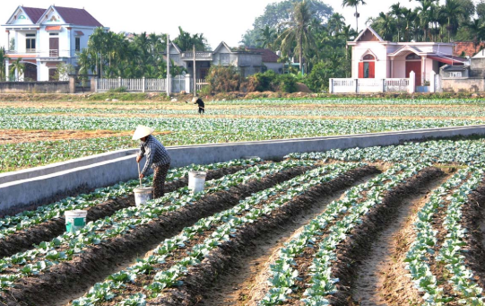 Sắp có đợt rét mới