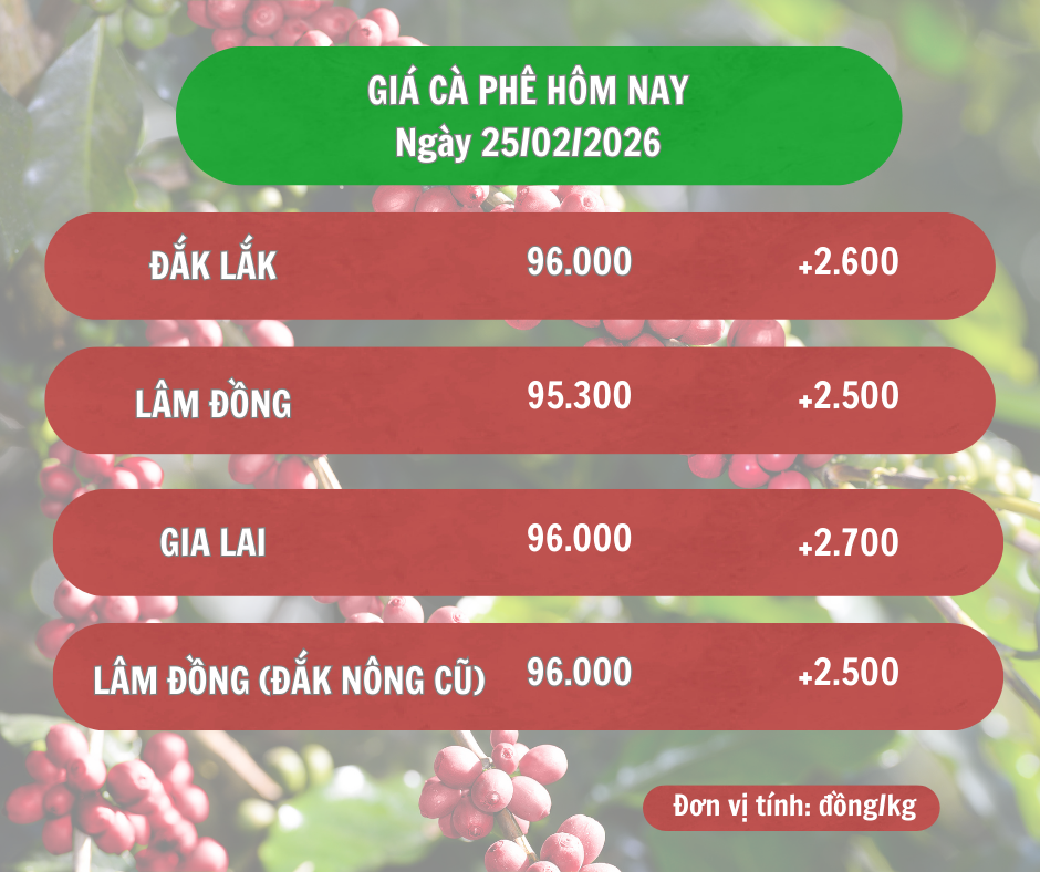 gia-ca-phe-hom-nay-25-2-2026_1771992674.png