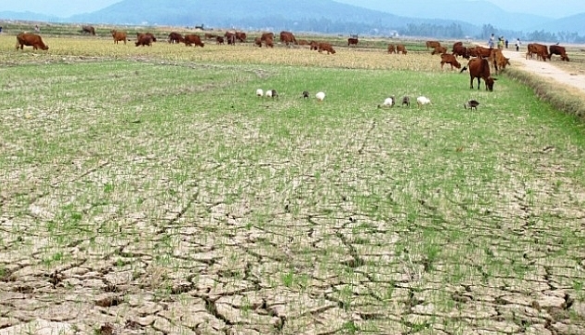 Năm 2026 có thể ít bão hơn