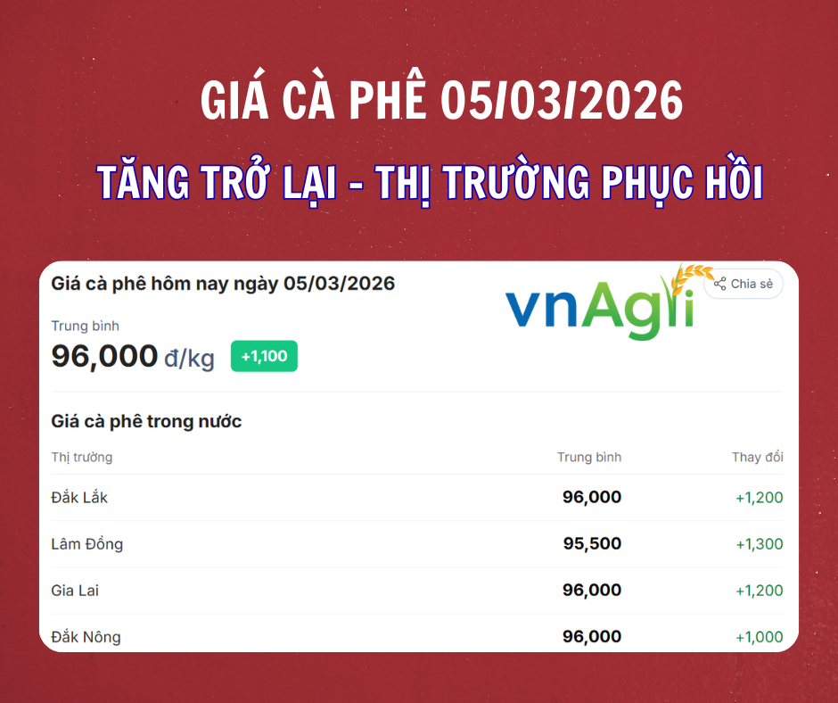 gia-ca-phe-ngay-5-3-2026-53_1772681996.png