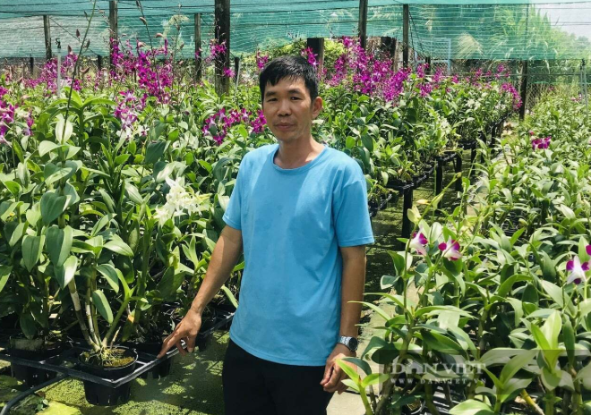 Trồng lan Dendro bỏ túi 6 tỷ đồng/năm