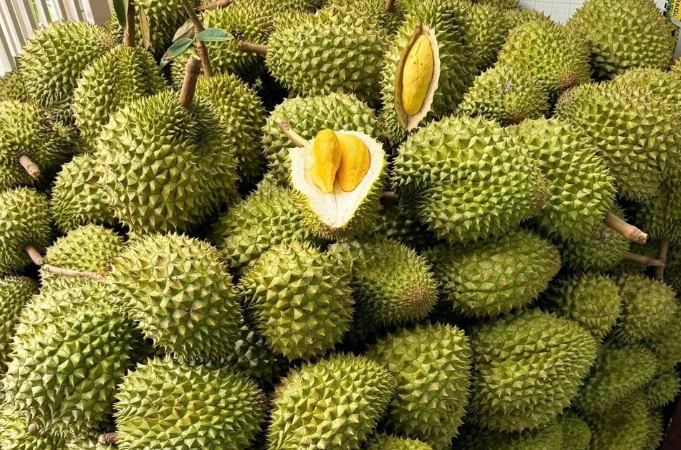 Lô sầu riêng đầu tiên thông quan Luồng xanh