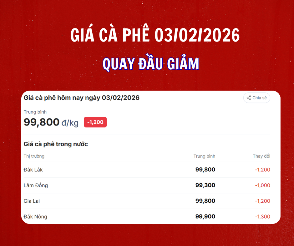 gia-ca-phe-ngay-3-2-2026-4_1770091722.png