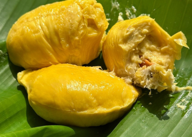 Thương lái chi hoa hồng cao săn sầu riêng
